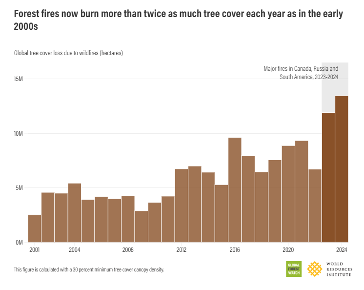 Global Tree Cover Loss due to Wildfires in Canada, Russia and South america in 2023 2024 chart World Resources Institute’s webpage